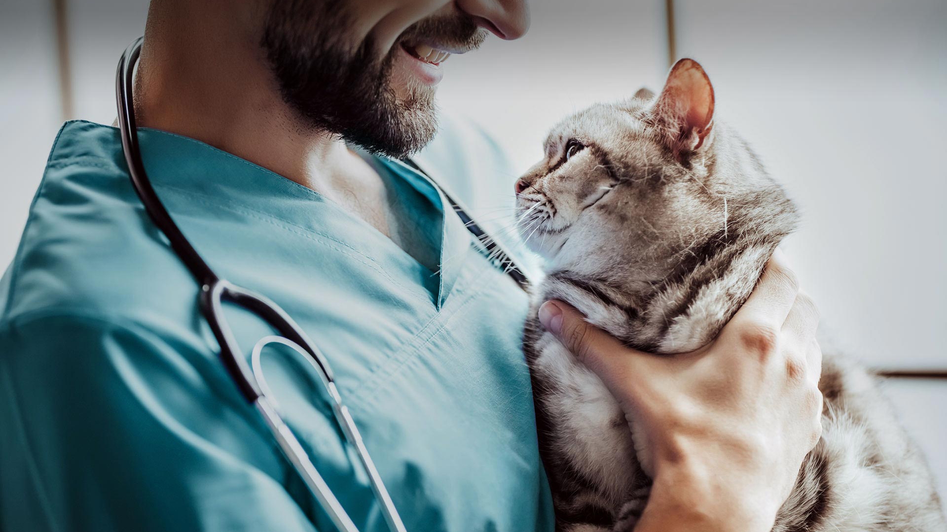 Şarkikaraağaç Veteriner